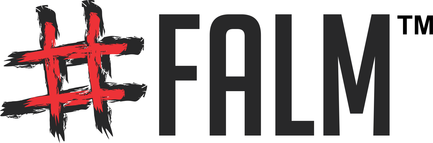 Logo Falm - web design, promovare online, branding, marketing